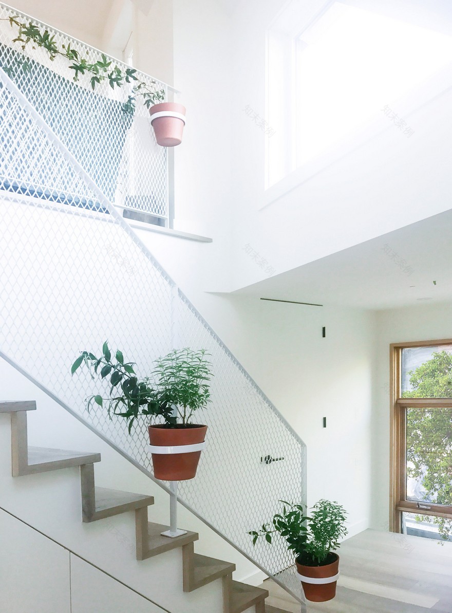 Withrow Laneway House by Studio North-17