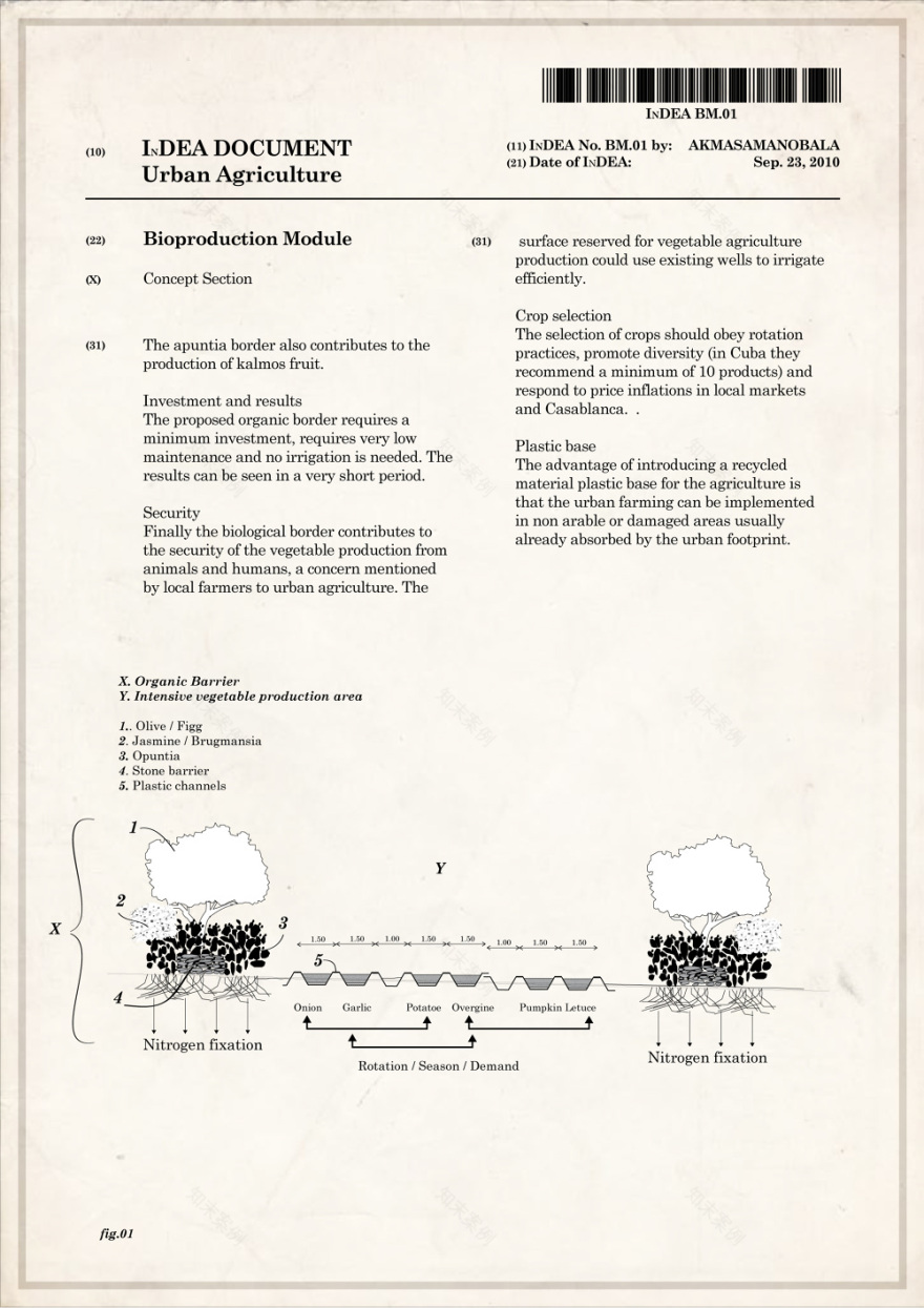 卡萨布兰卡都市农业丨摩洛哥卡萨布兰卡-7