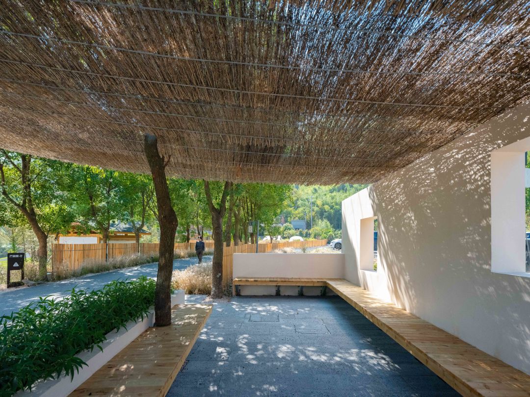 数一轮晨夕 折一朵明媚 | 安吉小杭坑营地-18