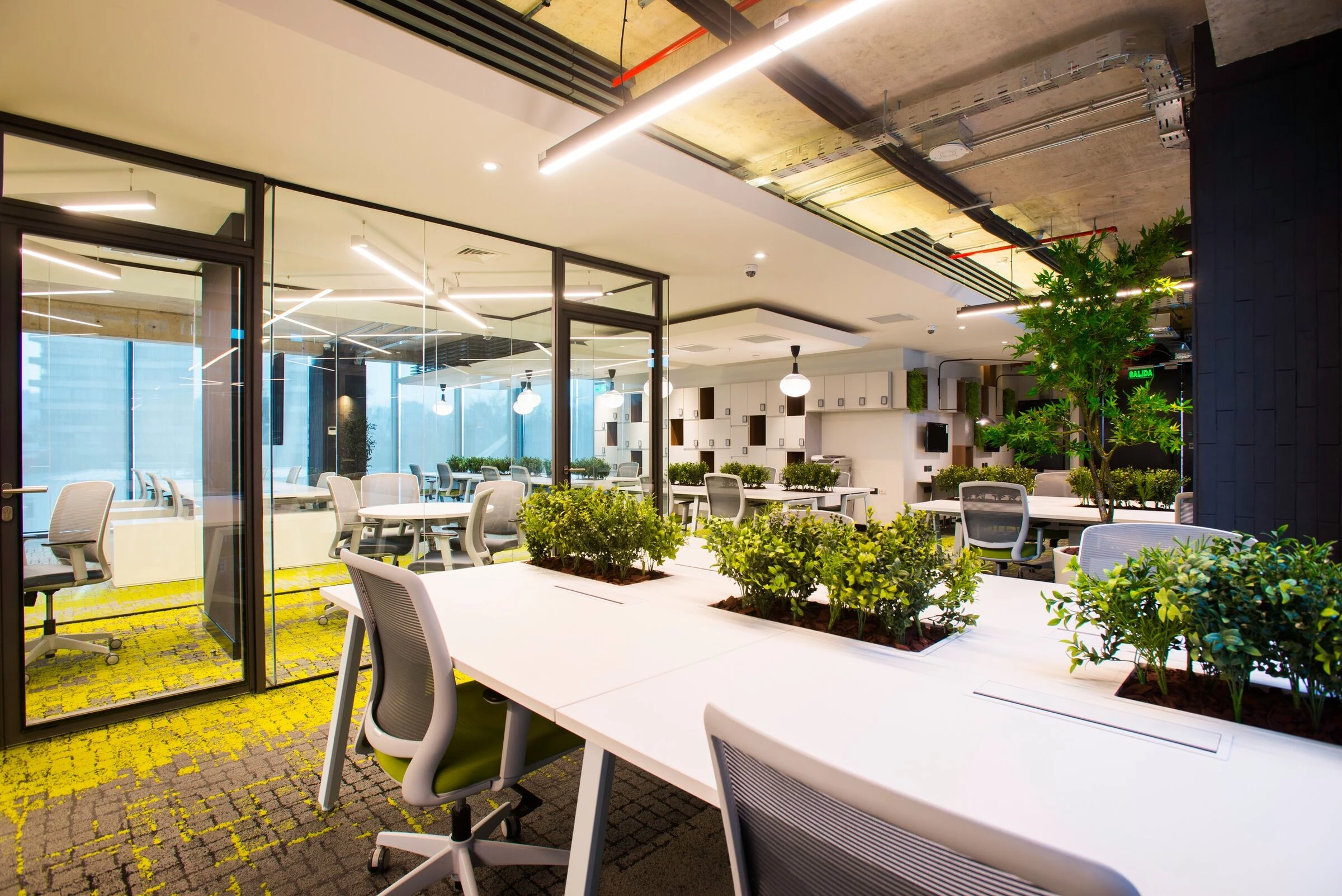 智利圣地亚哥 Grupo Patio 办公室·人性化,灵活,创新设计-15