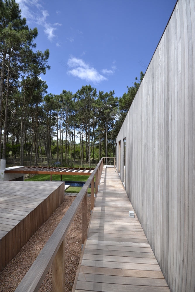 乌拉圭 Pinar del Faro 住宅-17