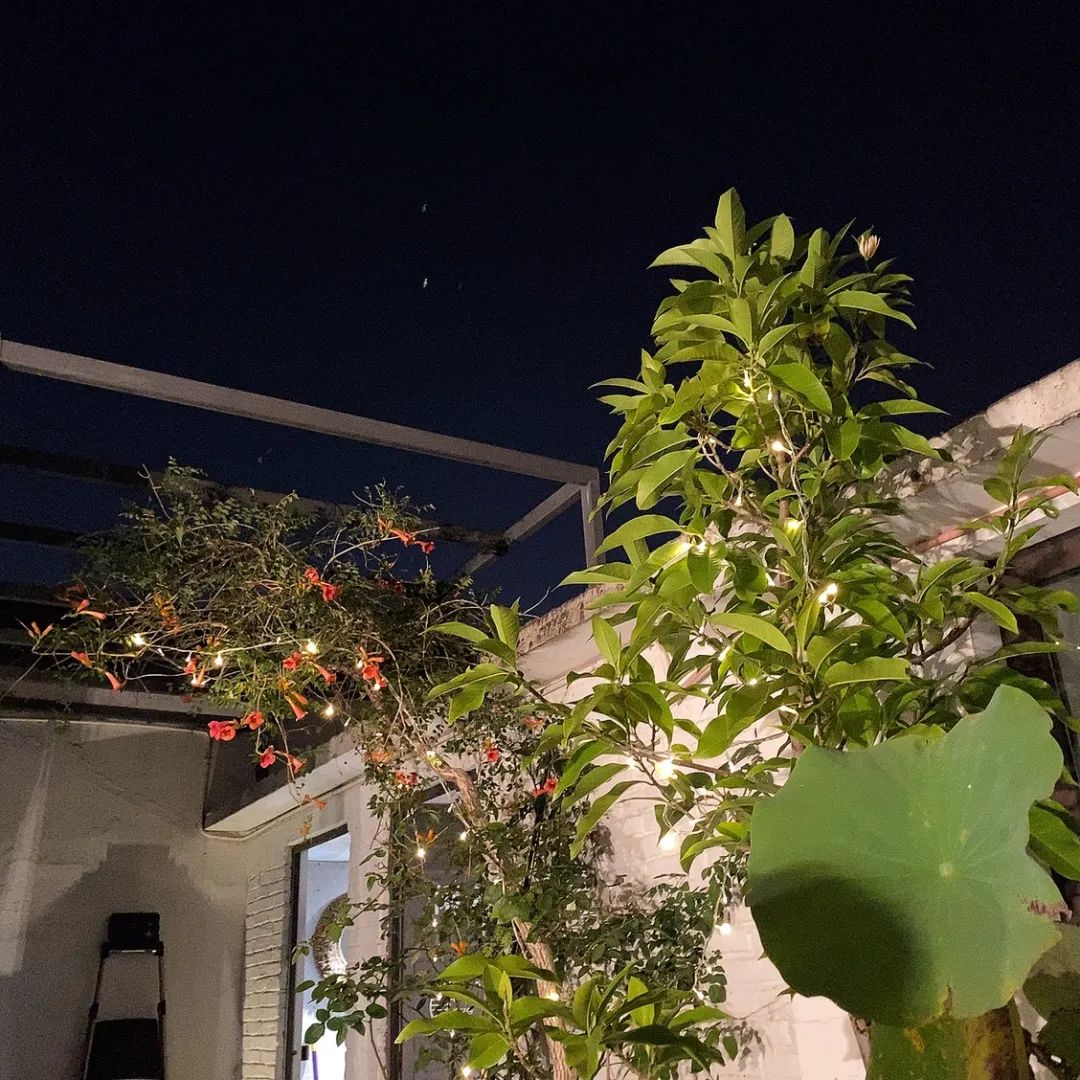 1979 吐槽大会 | 中秋环球联谊晚会-46