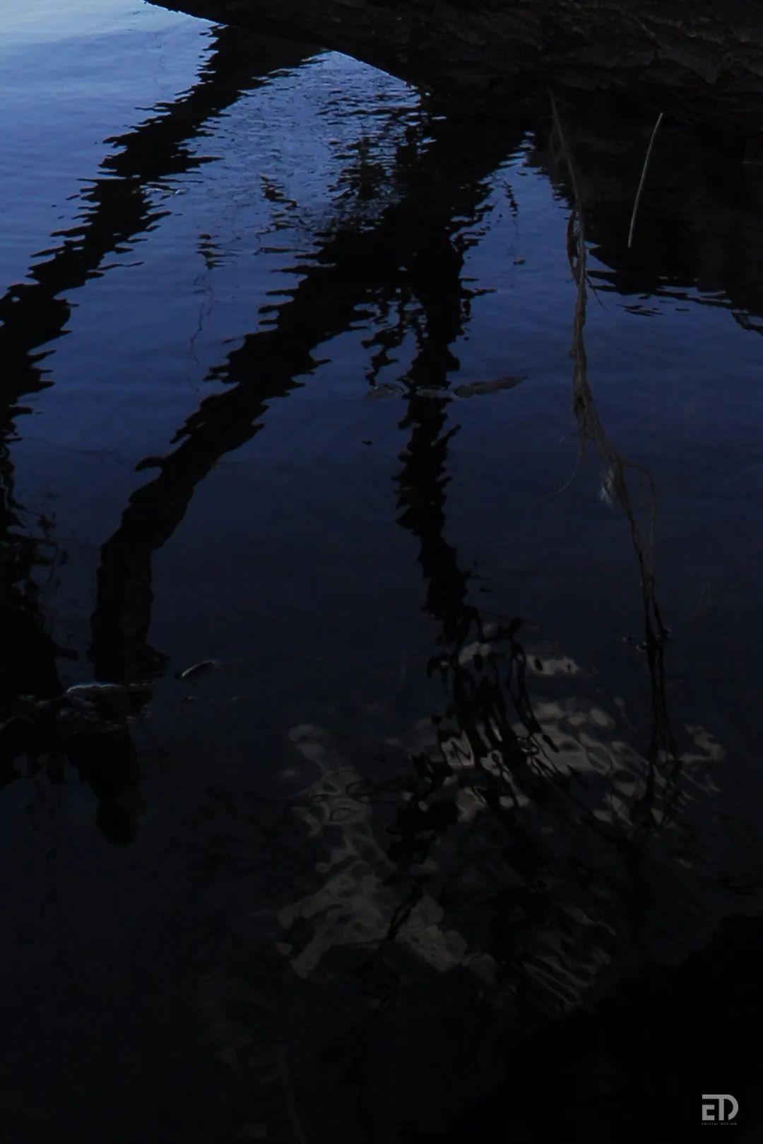 情绪风景丨戴勇-10