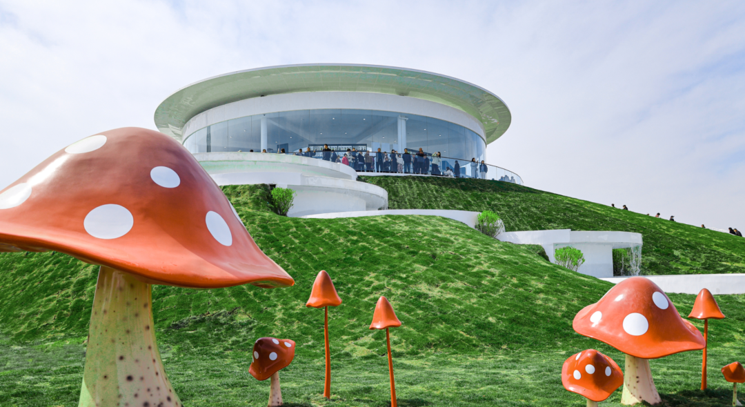 印文设计|蘑菇点灯·故事汇连获国际大奖-20