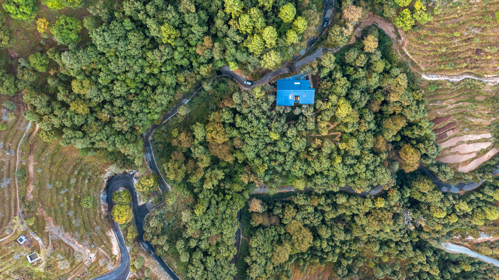 森林中的别墅丨印度丨Studio Lotus-43