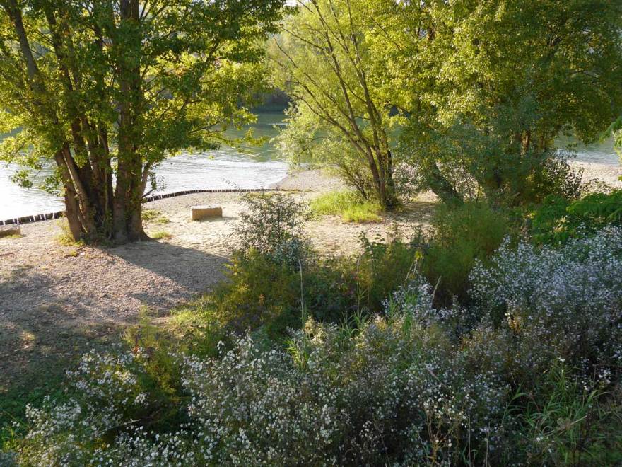 法国罗什泰里耶河畔重塑景观-21