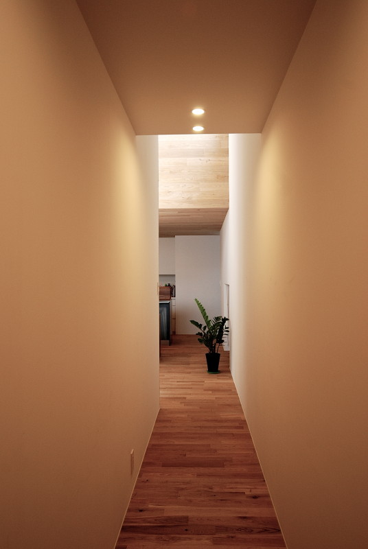 丨日本宫崎丨有限会社COGITE-30