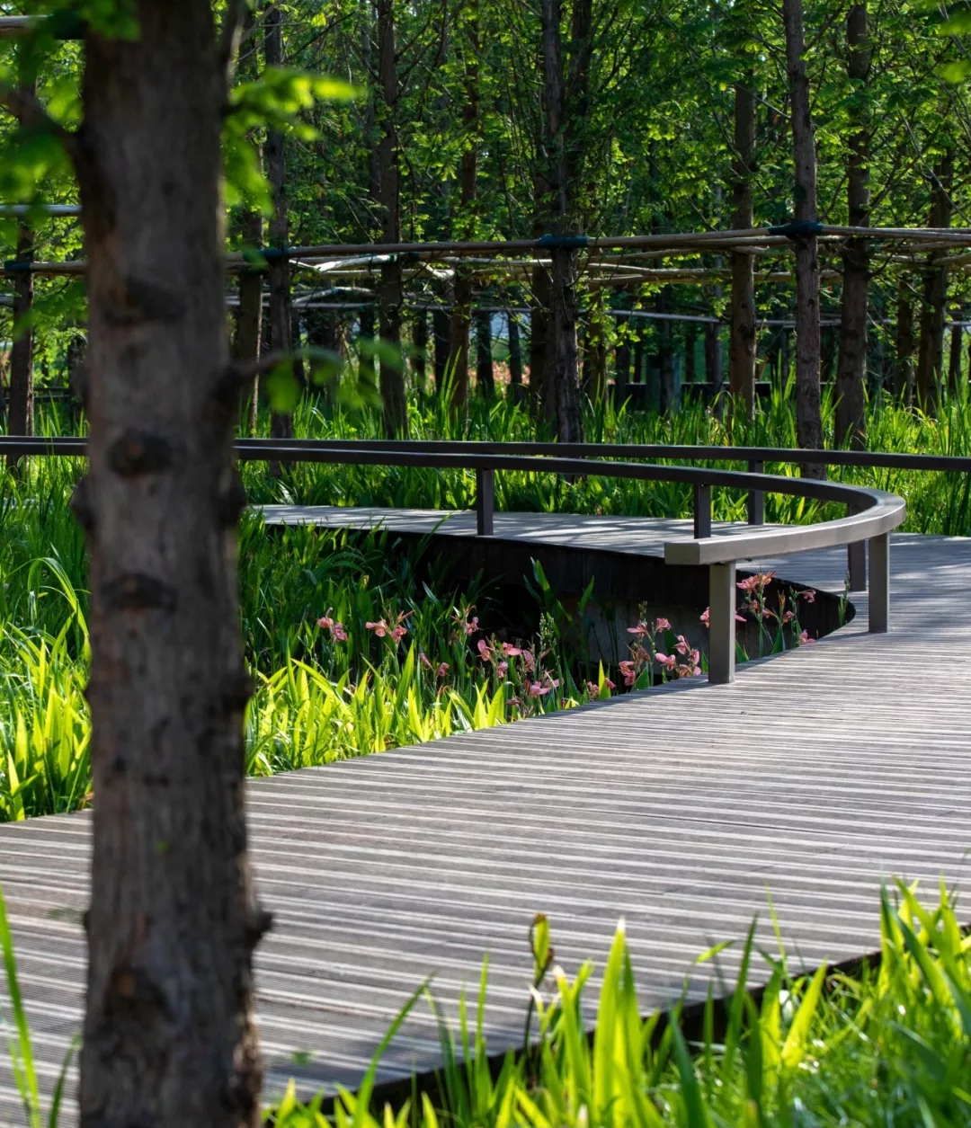 L&A Design Named as Winners in 2021 Excellent Engineering Survey and Design Project of Sichuan Province – Two Awards - L&A News - L&A GROUP | To Create a Better Environment-10