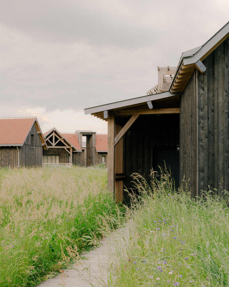 法国 Cheverny 城堡酒店扩建丨Collet Muller Architectes-29
