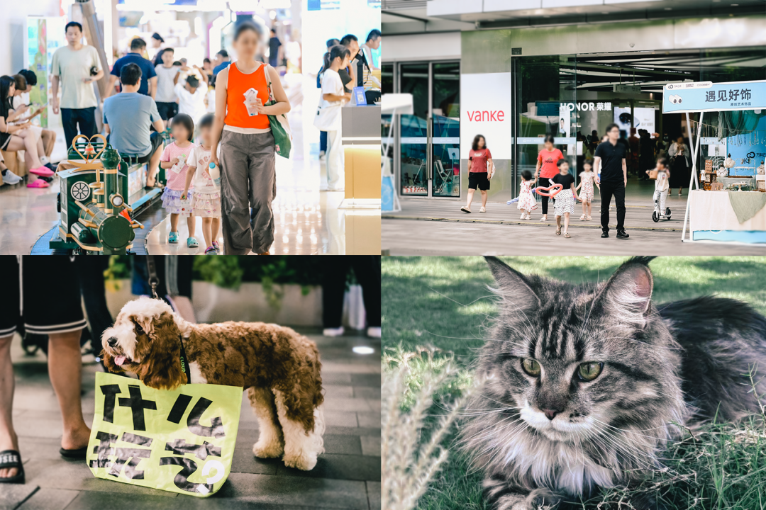 摸摸锦鲤.顽点不一样|云城万科里下沉广场改造-13