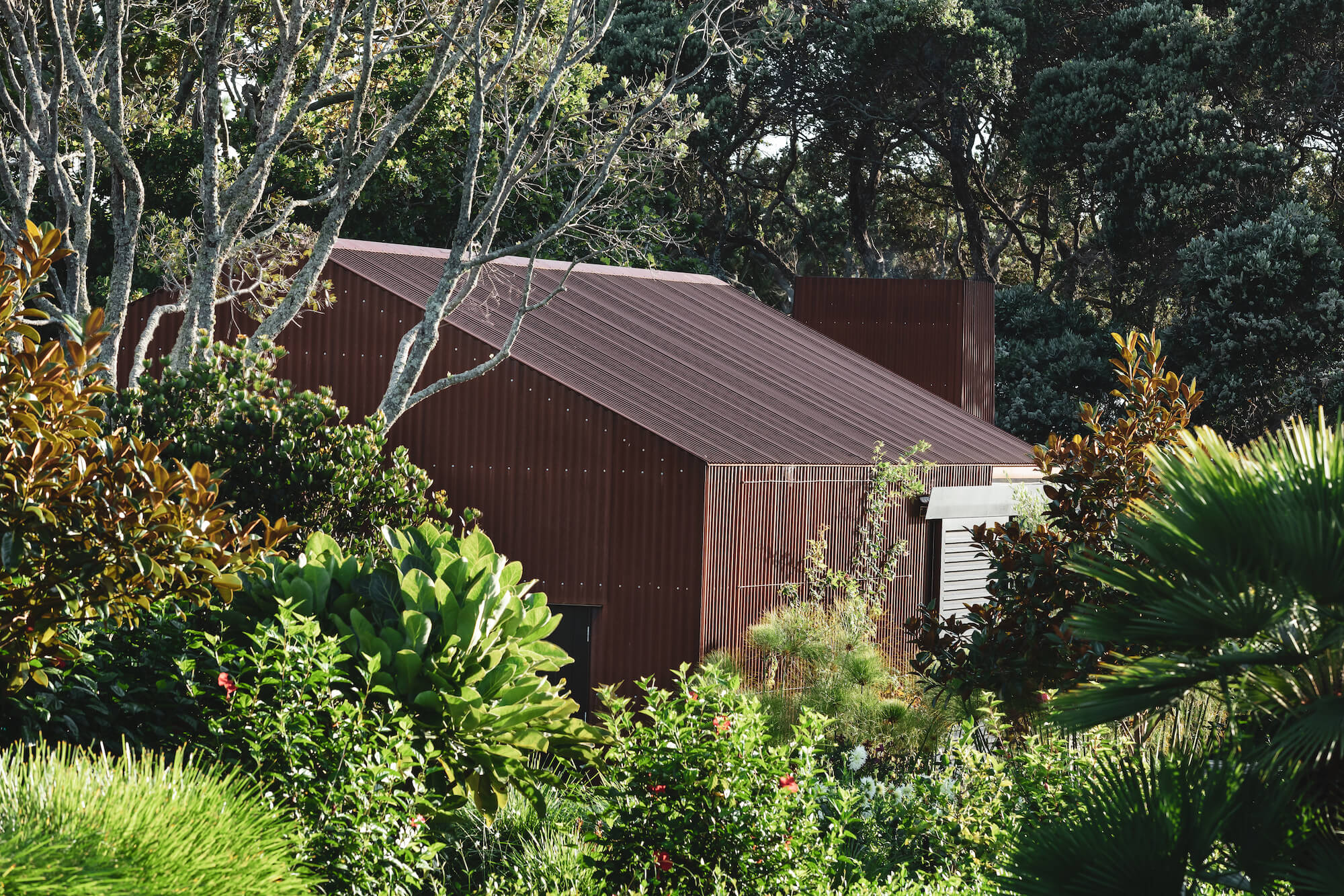 荒唐事；蠢行（具体含义需结合语境，这里Folly常见释义为荒唐事、蠢行，可根据更详细背景准确理解） -24