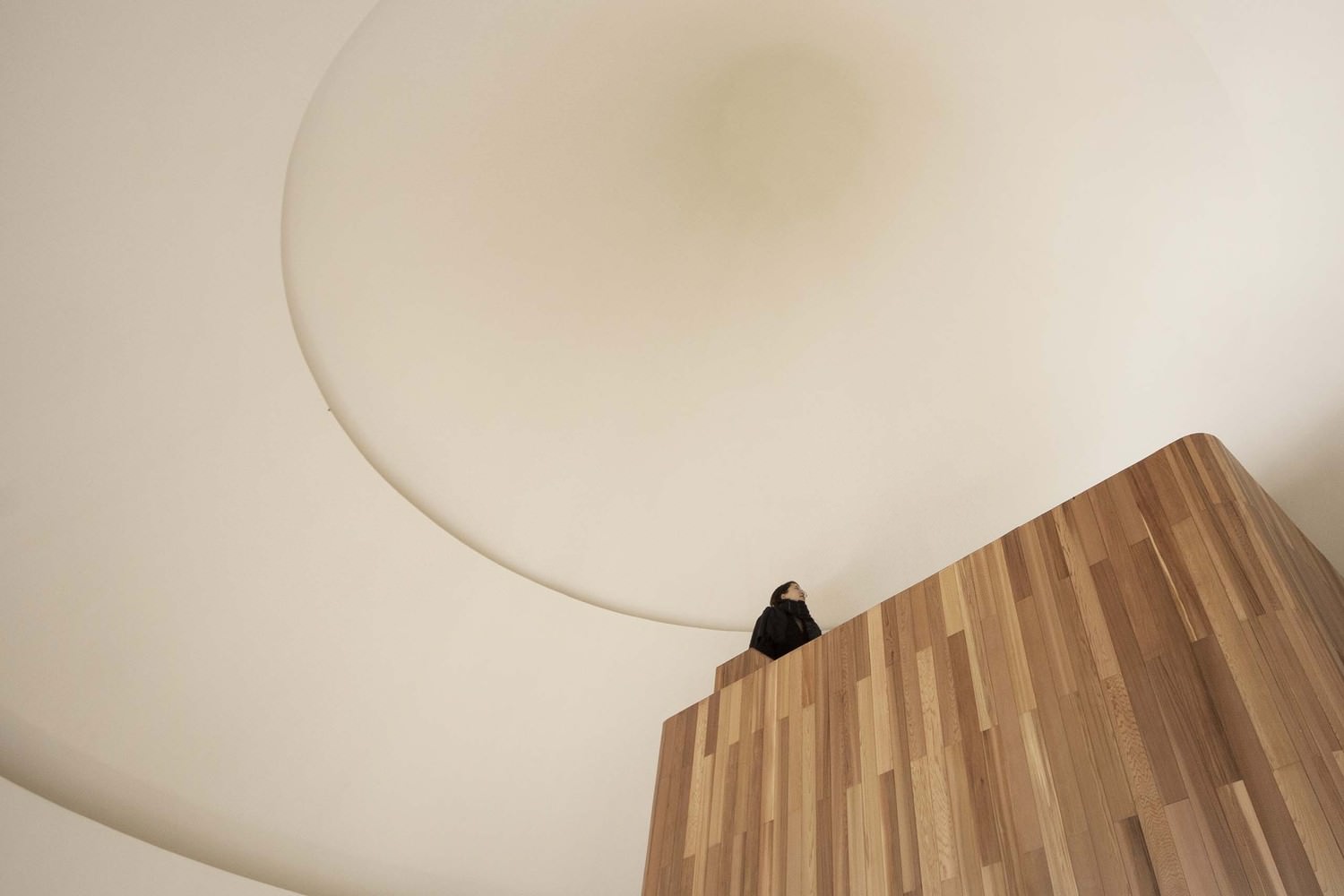 Дом  гриб в сосновом бору（松林中的蘑菇屋）丨中国丨ZJJZ-27