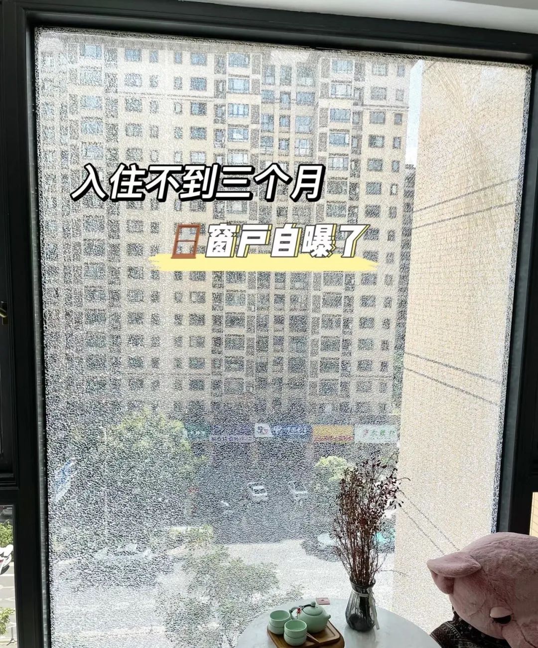 大落地窗装修案例-5