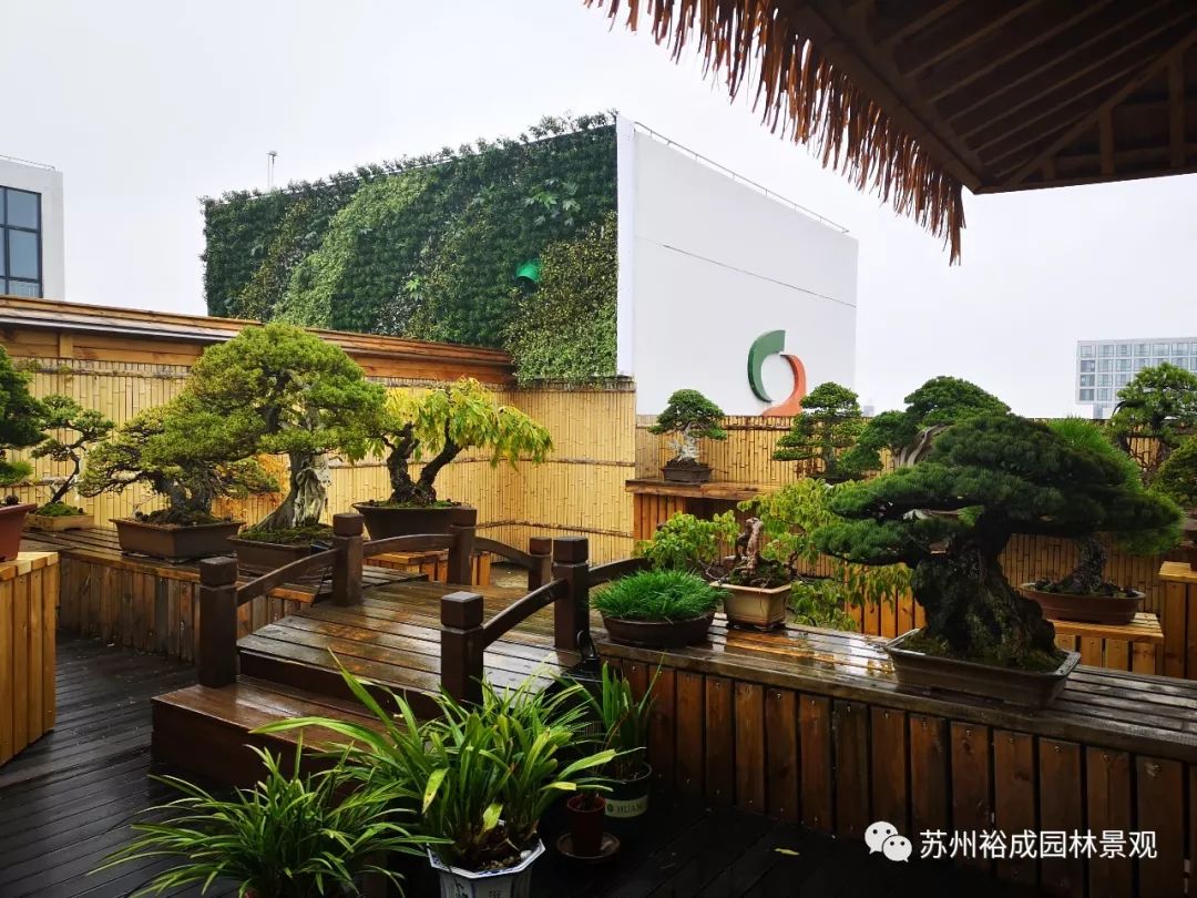 禅意屋顶花园，品茗抚琴如诗如画-2