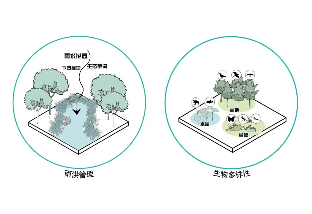 苏州工业园区中央公园南区景观设计探索丨中国苏州丨合展设计营造-48