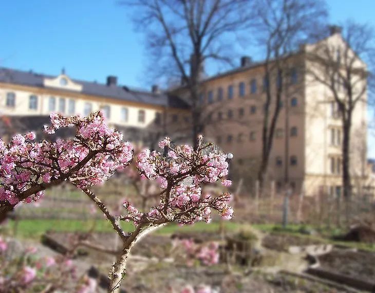 博德明监狱酒店丨英国丨Twelve Architects-108