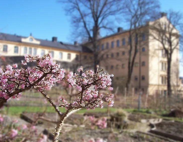 博德明监狱酒店丨英国丨Twelve Architects-108