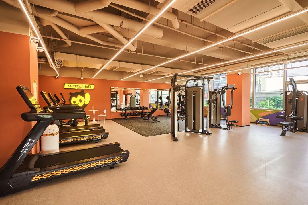 这只桔子，“嗲”！-98