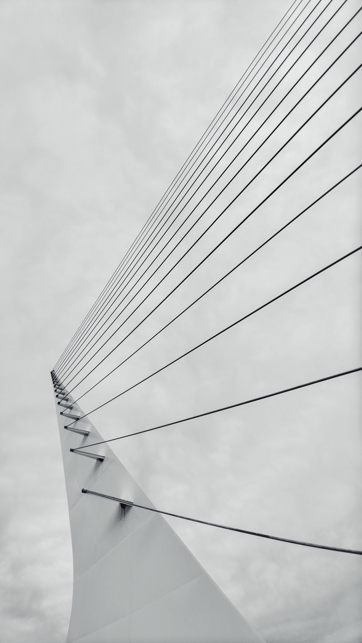 加州 Sundial Bridge丨美国加利福尼亚丨Santiago Calatrava-1