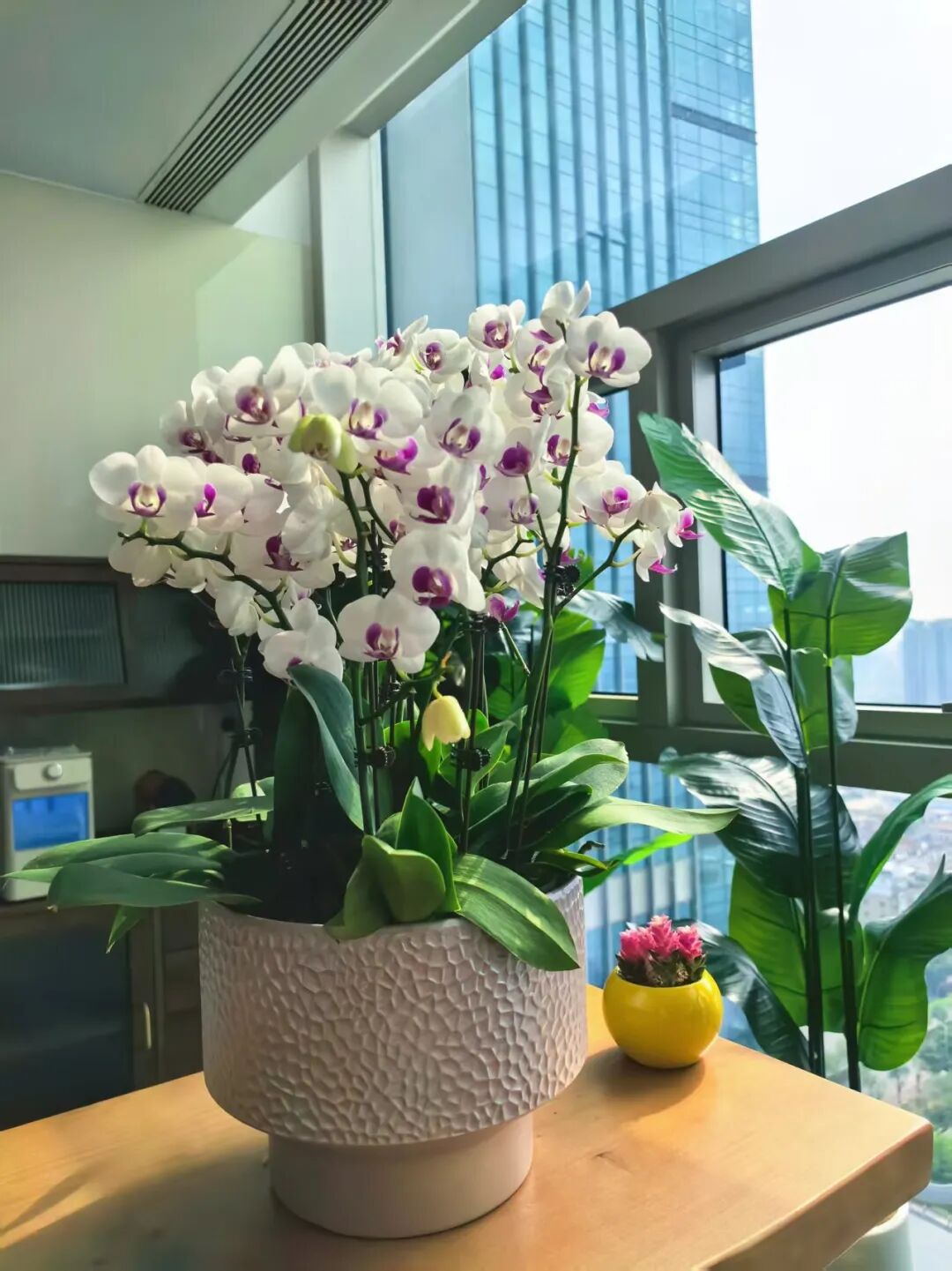 欢迎来到——幸福五彩空间“五星黄站”-20