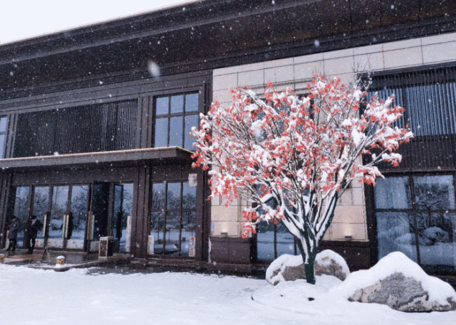 山水体验,禅意空间 | 武汉中建壹品澜庭-83