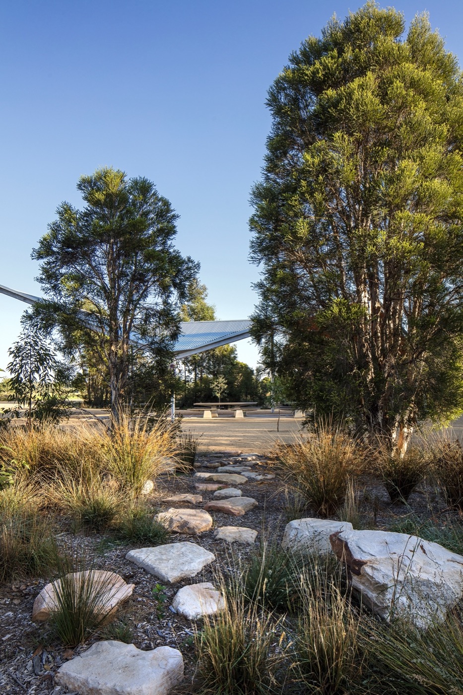 悉尼 Bungarribee 公园景观设计丨澳大利亚悉尼丨JMD 设计-5