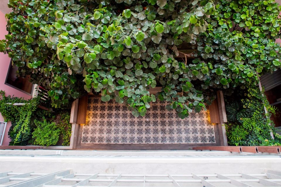 Vicca Verde：秘鲁垂直森林带来的繁茂居住地-4