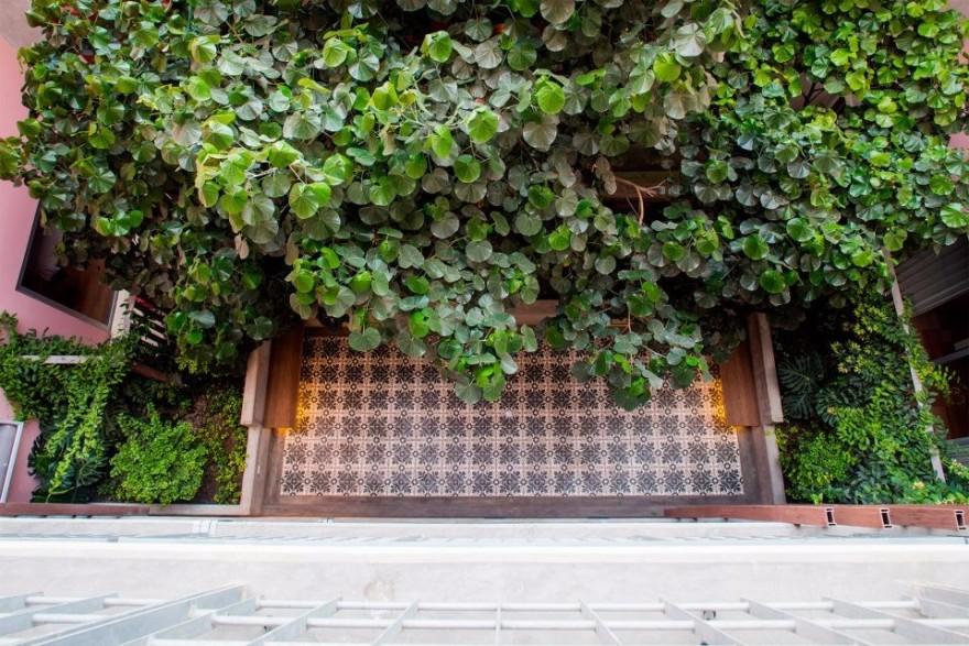 Vicca Verde:秘鲁垂直森林带来的繁茂居住地-4