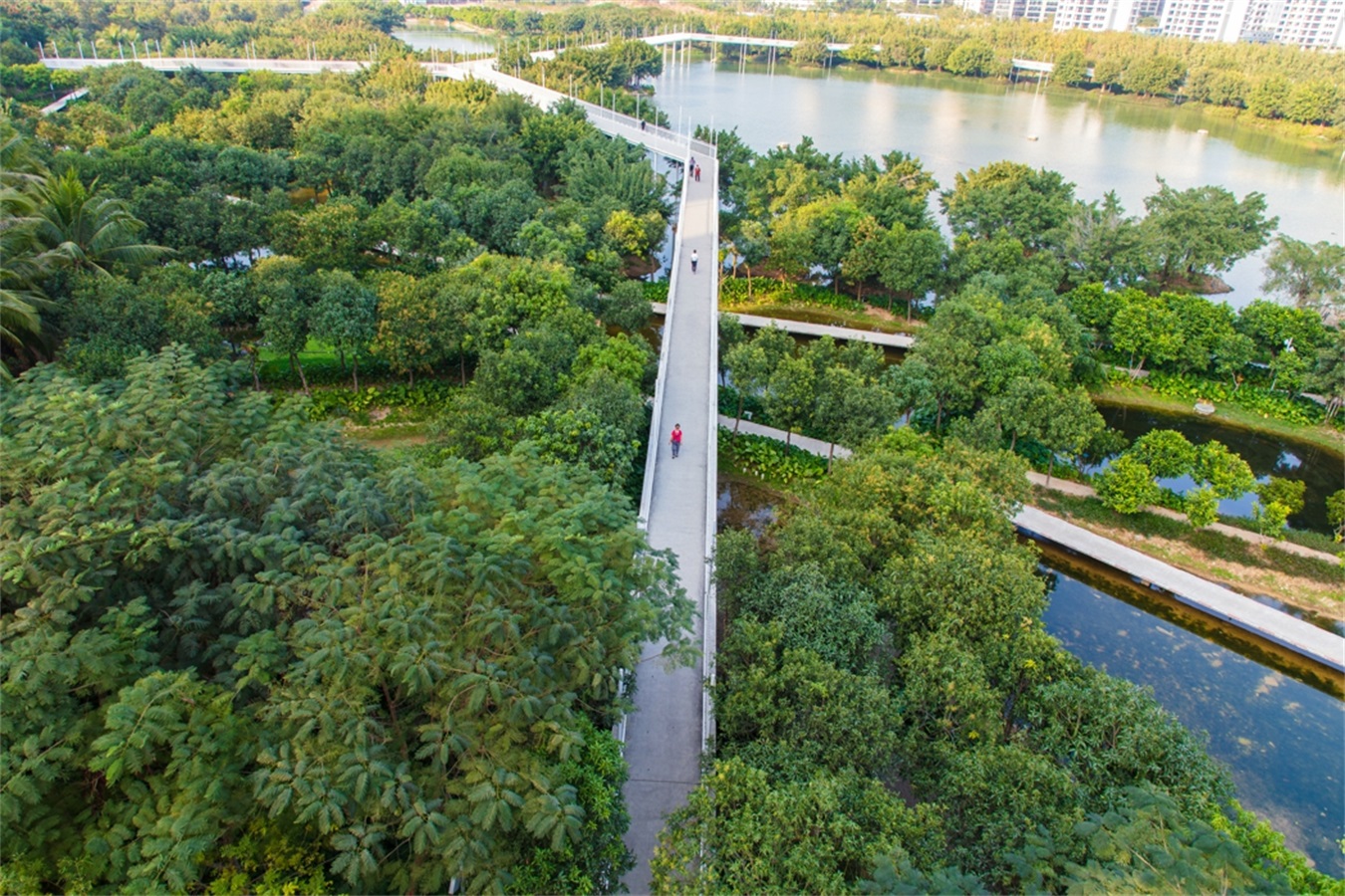 西安雁南公园（二期）丨中国西安丨土人设计（Turenscape）-209