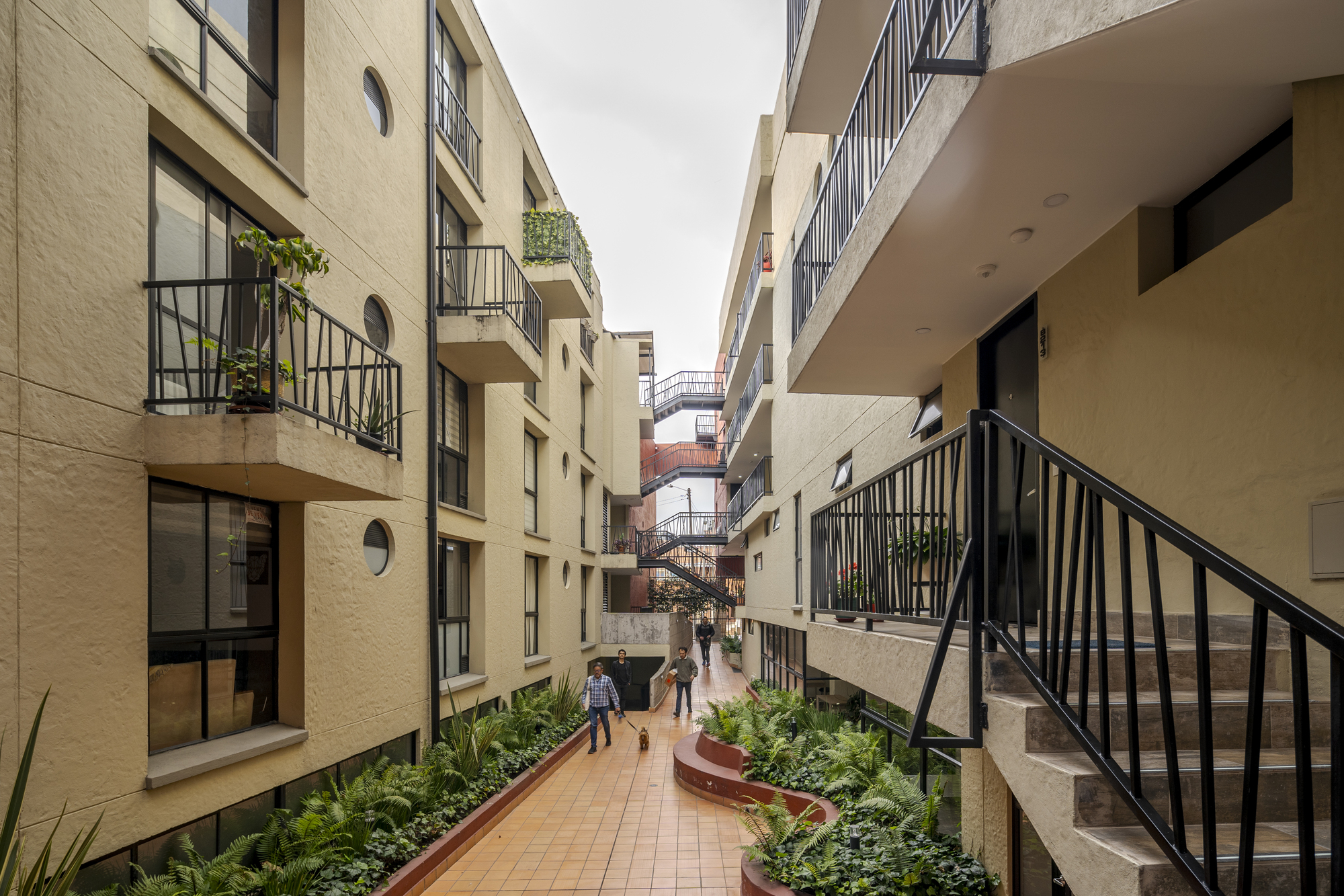 Monfort Suites Royal 多户住宅综合体丨哥伦比亚-21