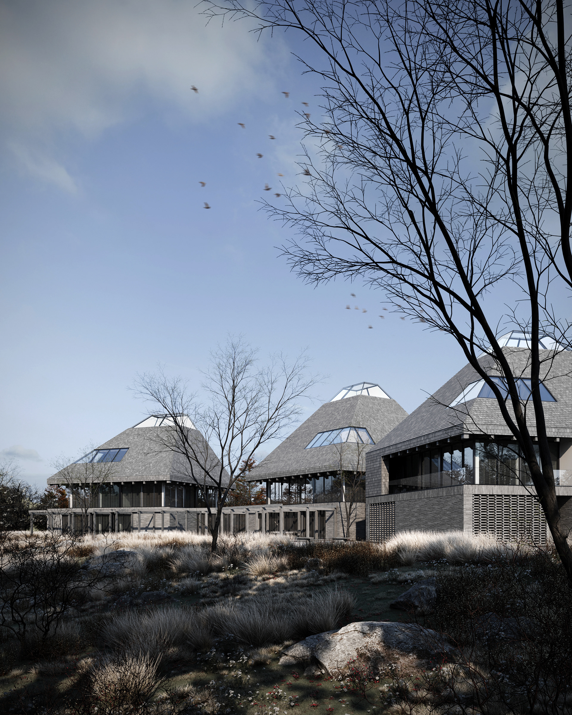 SN034 三联排住宅-6