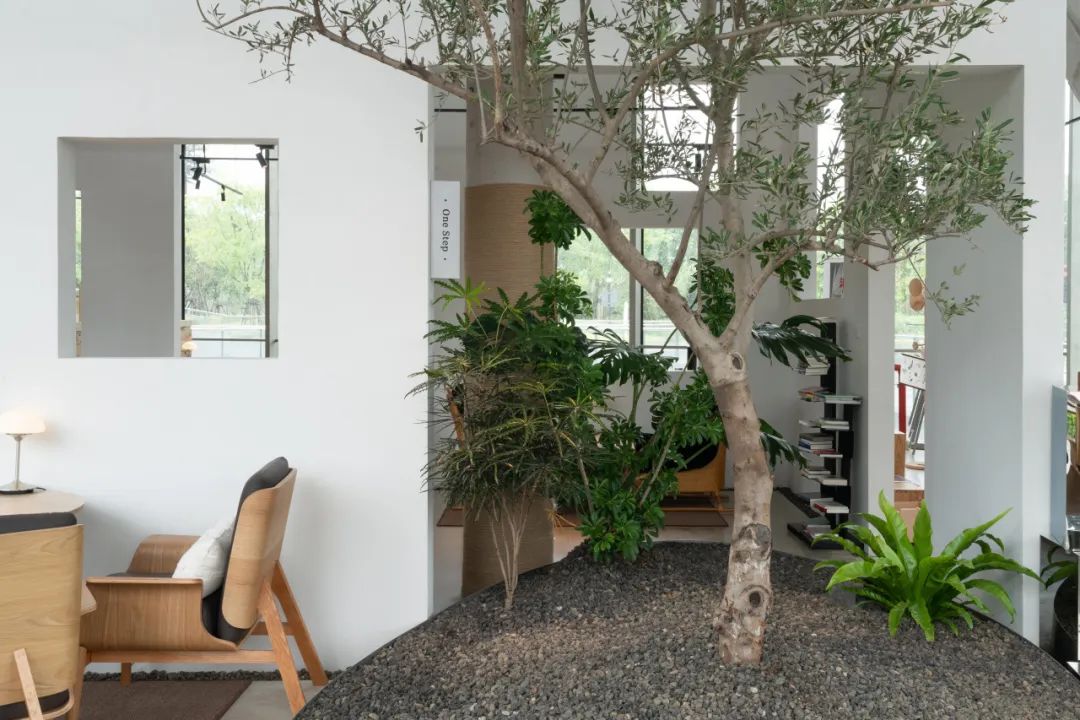 一尺花园前滩休闲公园店-56