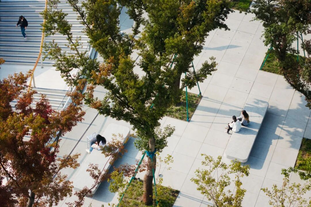 ASLA获奖作品 连接过去和未来的城市绿洲——嘉兴火车站景丨中国嘉兴丨致舍景观-64