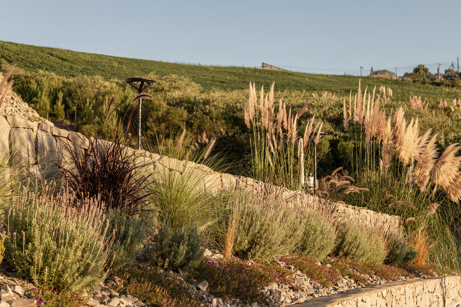 巴西 TKA 滨海艺术中心丨naE-24