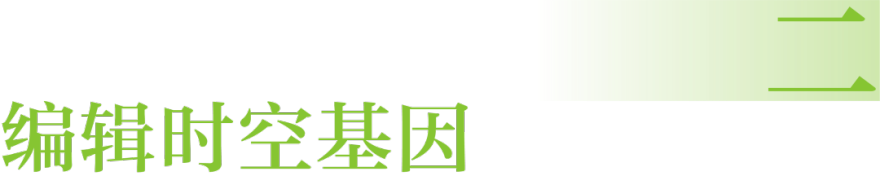 深圳市光明茅洲河中央水岸城市设计丨中国深圳丨塔科玛城市设计+清华同衡+AUBE欧博设计-75