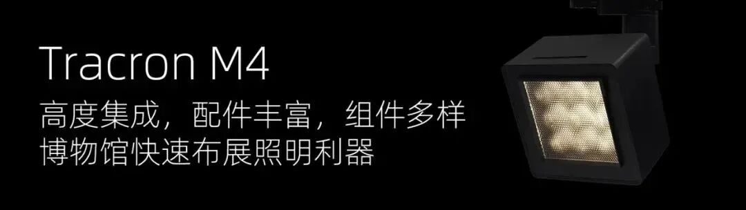 埃克苏美术馆照明项目|岳阳市美术馆：《在东方|画里中国诗意巴陵·当代中国画作品展》-19