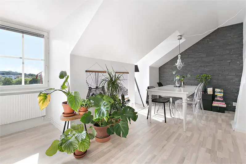 绿色植物的室内艺术展示-6