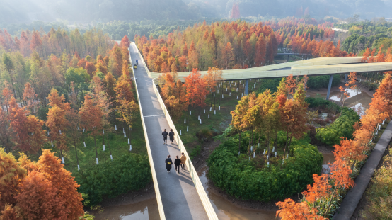 2025WAF奖短名单公布，中国土人占两项！-33