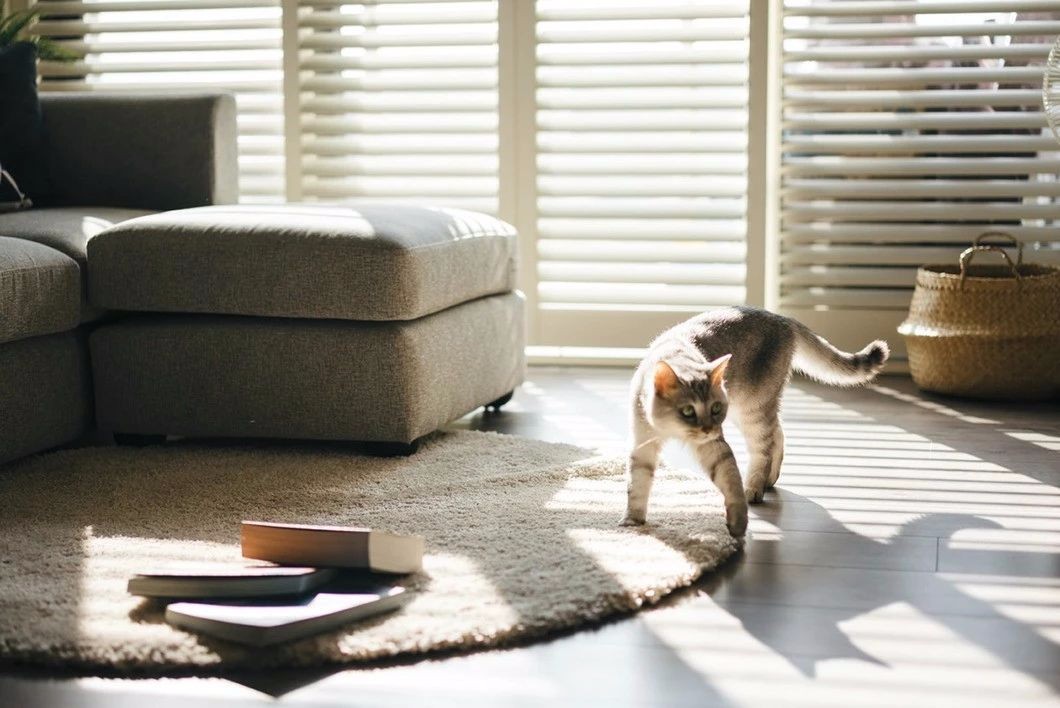 猫奴专属家居设计,打造猫咪欢乐空间-18