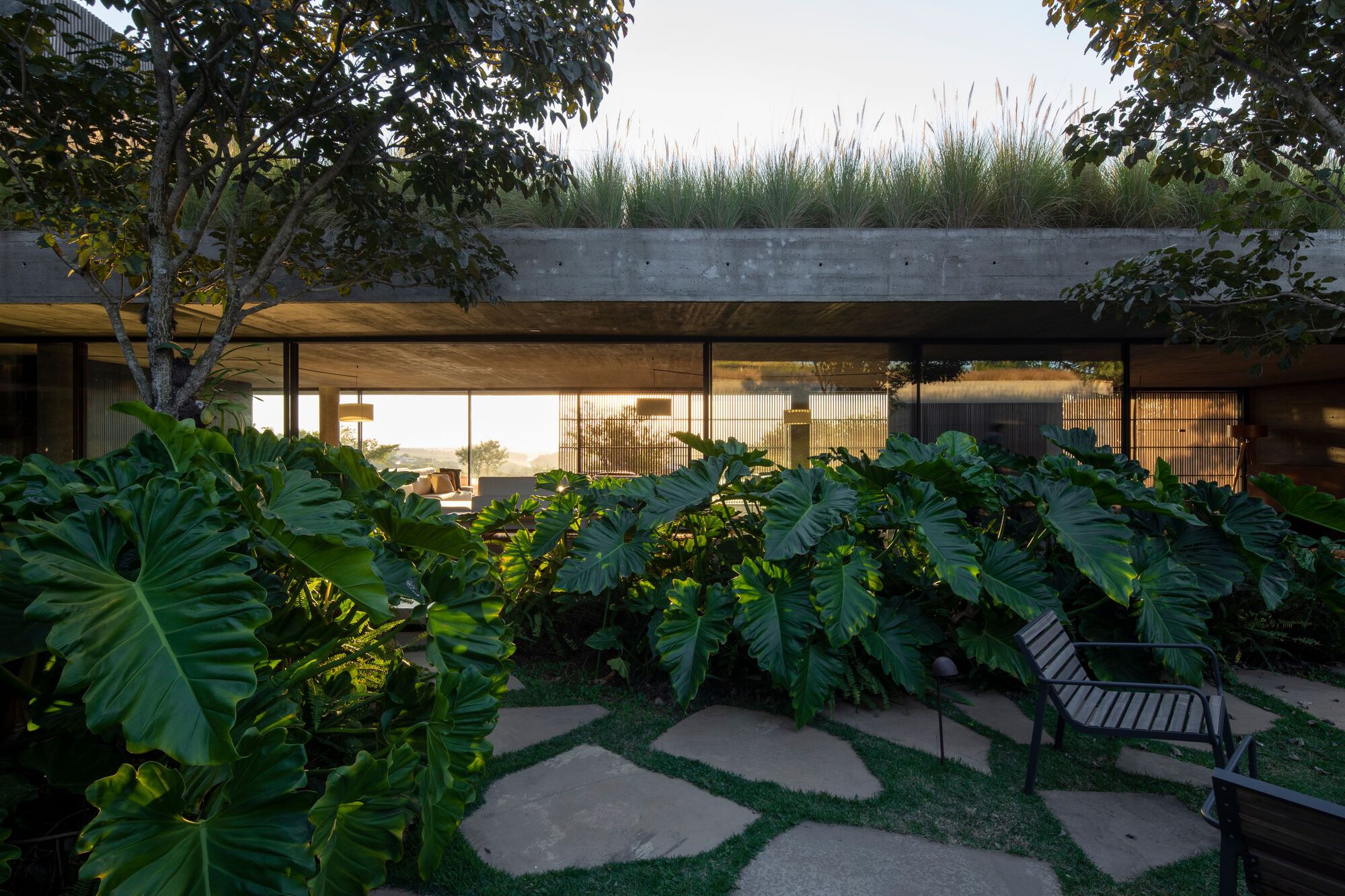 塞拉住宅丨巴西圣保罗-51