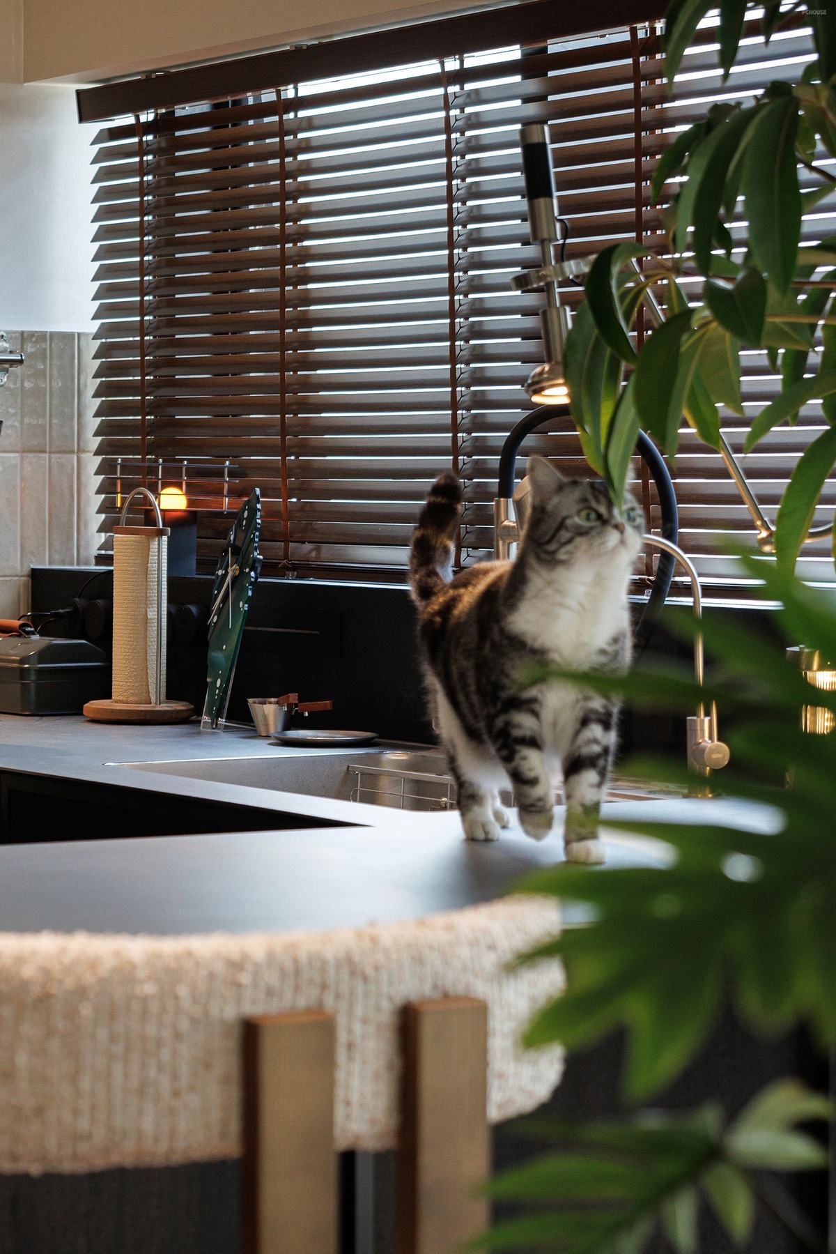 壹佳一舍设计｜Loft式“生活剧场”-23