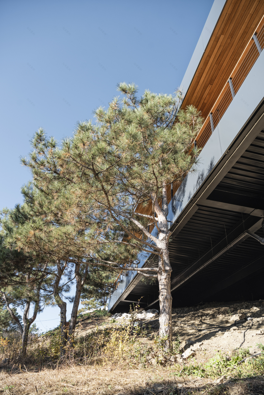 山坡上的房子丨乌克兰基辅丨TWO+-26