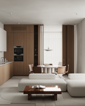 apartment project（公寓项目）丨Elena Sidorina