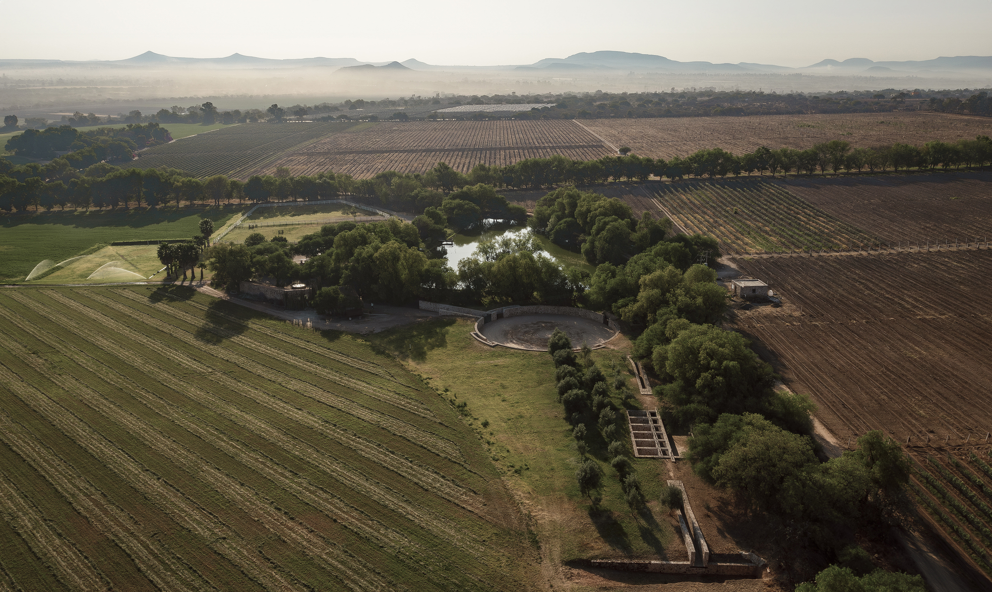 桑蒂利亚农场,宇宙(注:Cosmos常见含义为宇宙 ,但可能结合特定语境有其他更合适的表意,若这里Cosmos为特定名称,因缺乏更多信息,难保证是最精准表意) 丨墨西哥-23