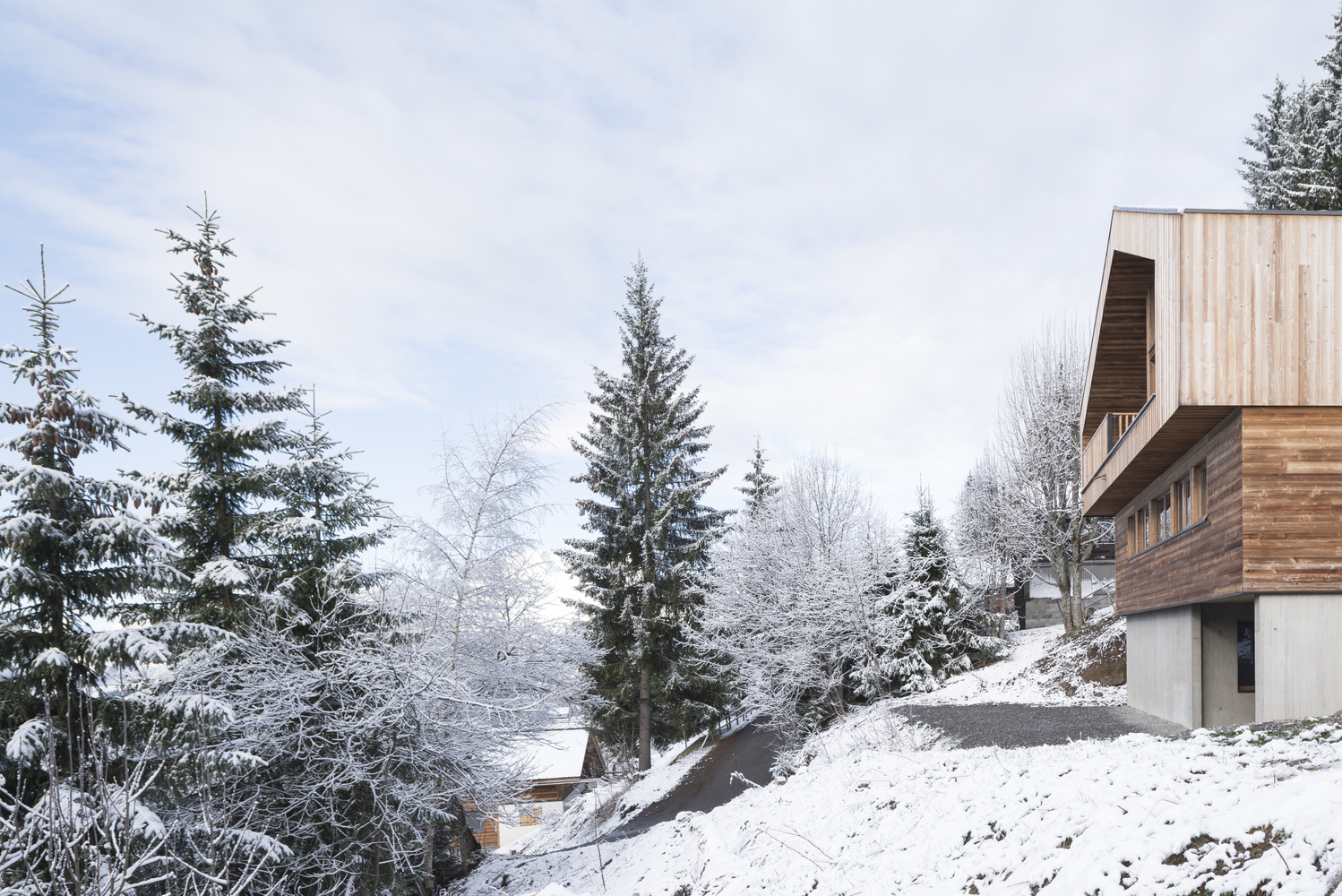 Mountain House  Studio Razavi architecture-84
