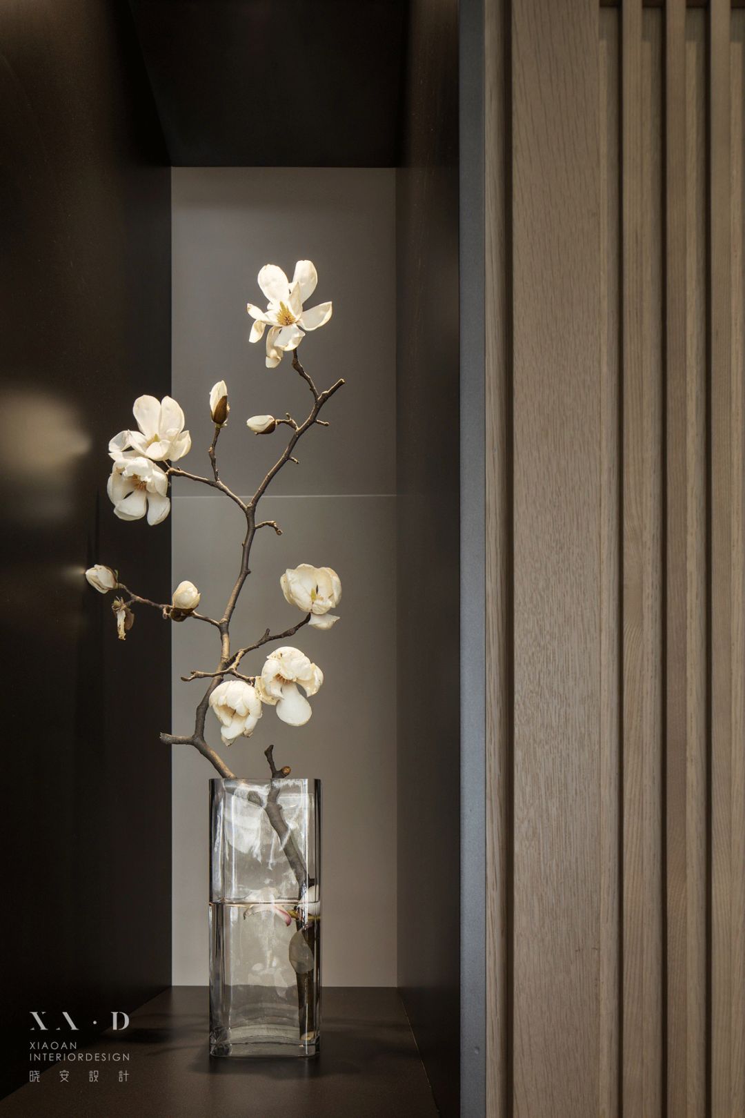 上海黄浦江畔的千册藏书雅居-0