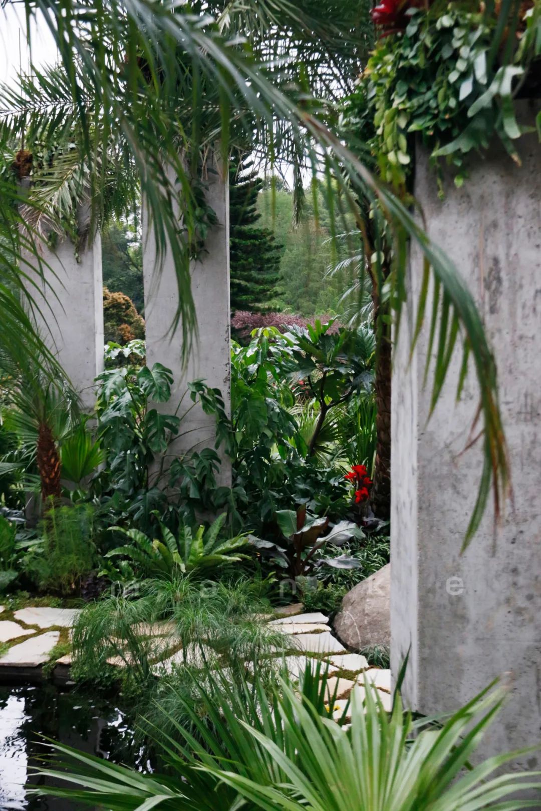 仲夏夜之梦 · 莎士比亚灵感的花园设计丨中国深圳丨Sarah Eberle(英国)-36