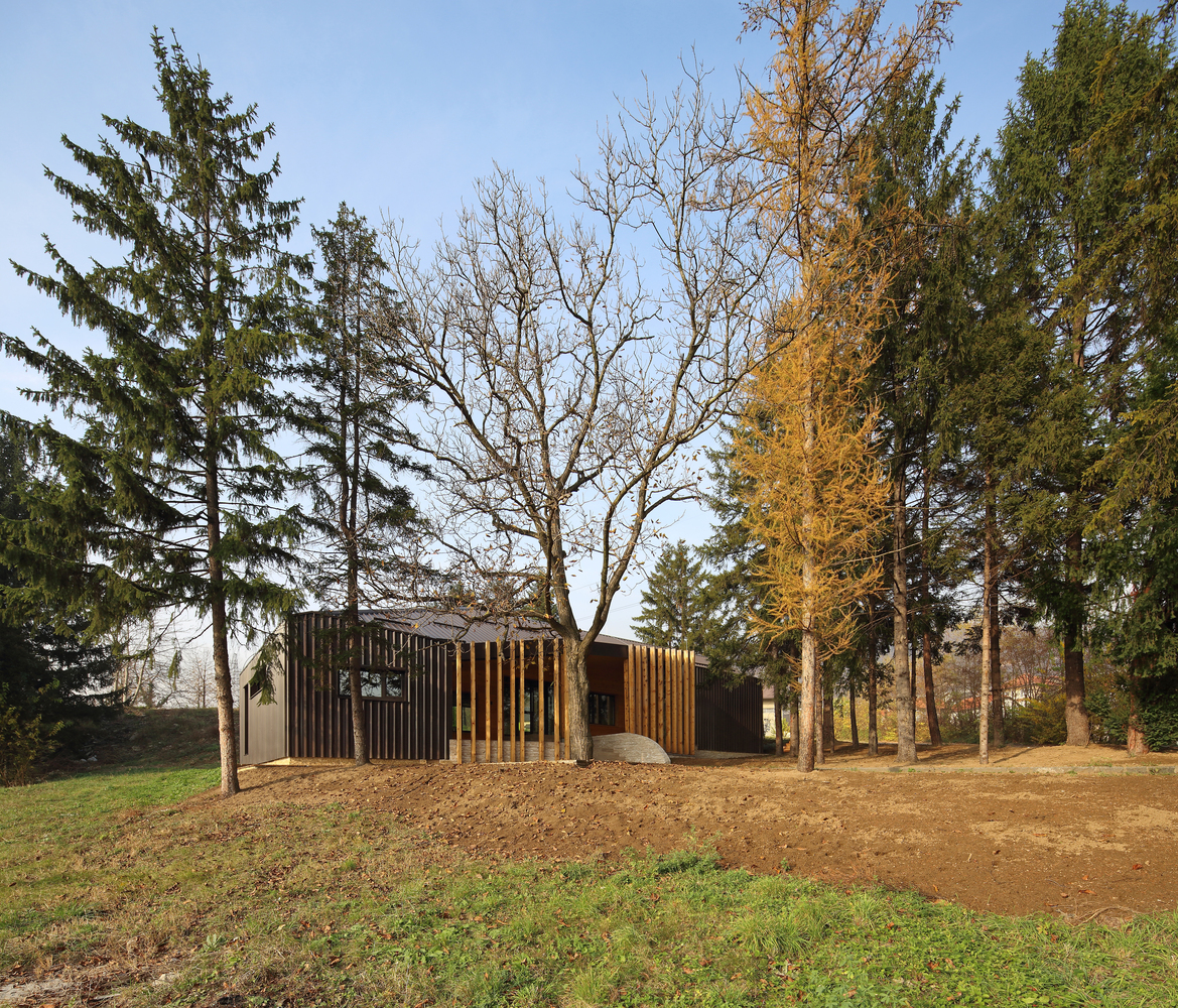 小宅大院，绿意盎然-10