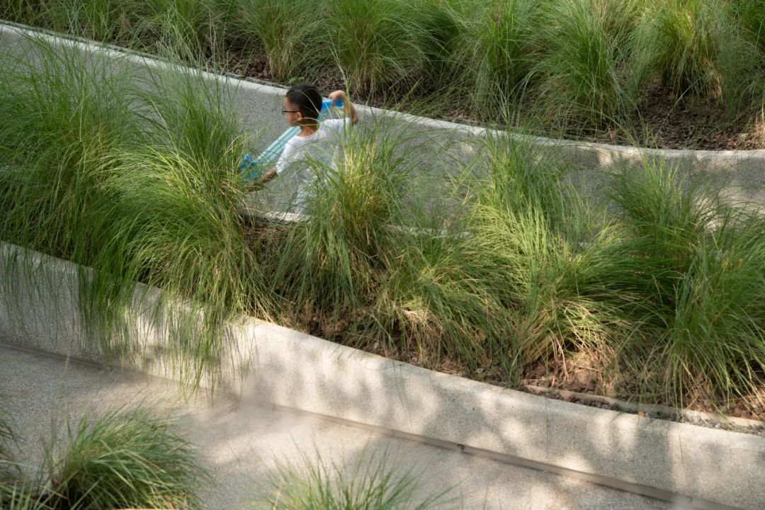 穿水公园——麓湖活水公园首开段 | Lab D+H 实践-51