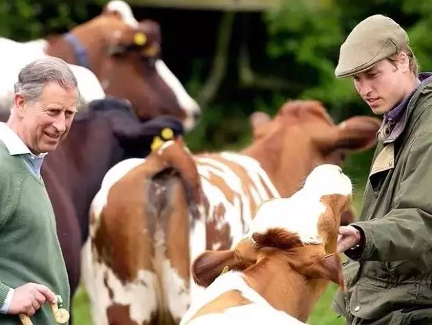 海格罗夫庄园 | 查尔斯王子的世外桃源-74